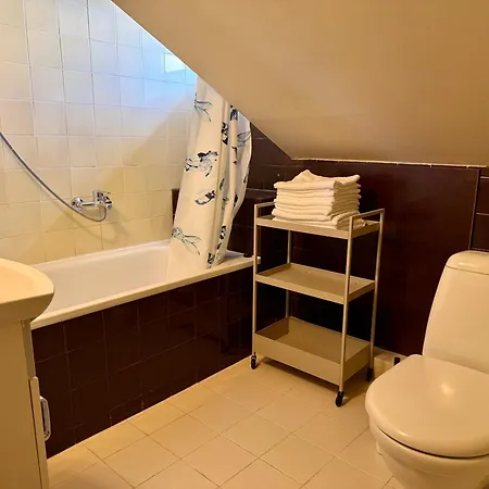 Ligonines9 Old Town Apartment Wilna
